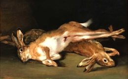 Extinción vertebrados